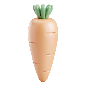 Cute peach orange carrot with grooved body and sage green top isolated on transparent background for fresh vegetable design