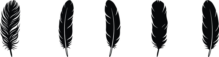 Black bird feather vector silhouette set isolated on white background for tribal boho elegant decoration elements © MstHusna