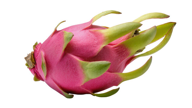 Isolated fresh whole dragon fruit, vibrant pink skin and green scales, healthy tropical fruit