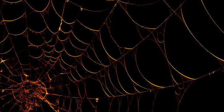 Intricate Spider Web Glowing in Fiery Gold and Orange Light on a Pitch Black Background