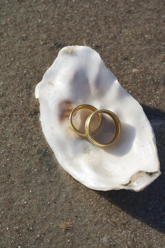 Wedding rings at the beach on seashell