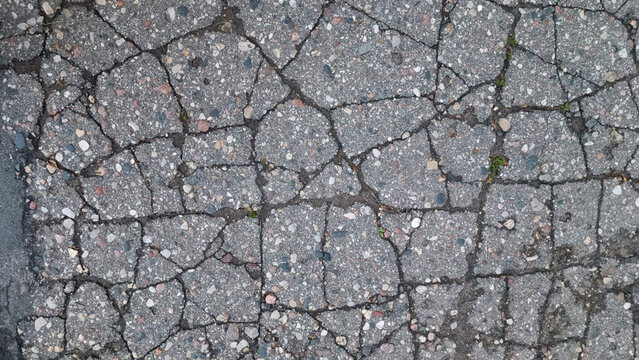 Cracked Asphalt Pavement with Grass