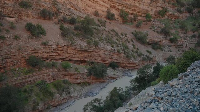 River winding through layered red rock gorge with shrubs in Atlas Mountains Morocco