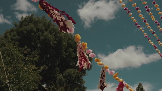 Red and white diamond streamers hang beside pompom flowers over treetop against sky at arraial festival