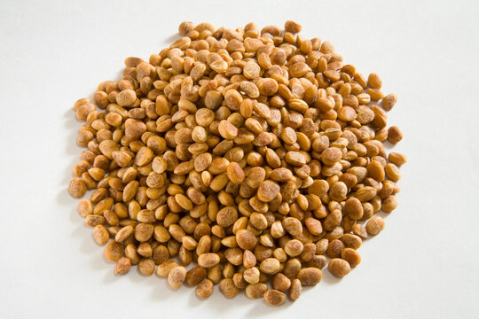 pile of seeds