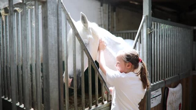 Little girl gently pets a white horse inside a stable, enjoying a calm moment of interaction with the animal