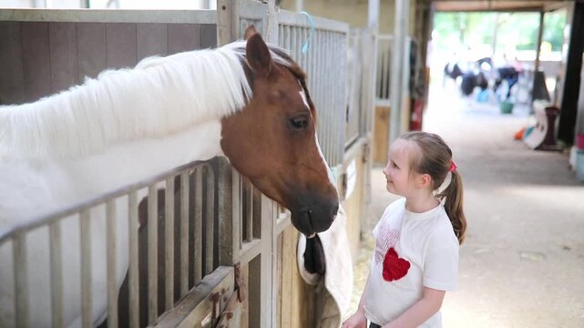 Little girl gently pets a white horse inside a stable, enjoying a calm moment of interaction with the animal