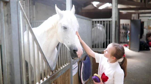Little girl gently pets a white horse inside a stable, enjoying a calm moment of interaction with the animal