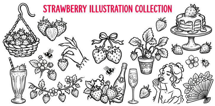 Hand-drawn strawberry illustration collection in vintage botanical style. Black and white line art of fruit, plants, and decorative elements for de...