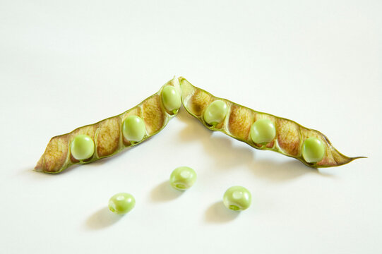 green pigeon pea on a white background