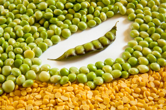 green pigeon pea on a white background