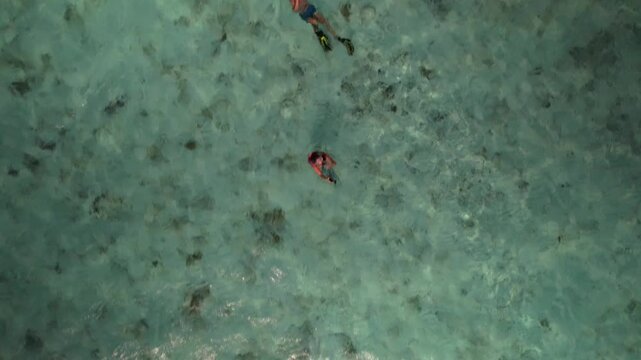 Aerial top-down approach to a couple snorkeling in shallow turquoise waters in Caribbean Sea, Los Roques Archipelago, Venezuela