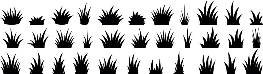 Grass silhouette collection © ALEX