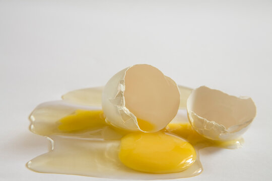 broken egg shell