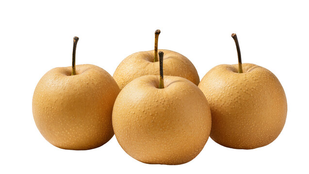 Isolated four ripe crisp nashi Asian pears with refreshing water drops, healthy fruit