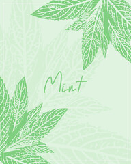 Elegant mint leaf background vector template with hand drawn lettering text frame and textured peppermint foliage silhouettes in pastel green palette for organic tea packaging cosmetics label  © MarhaRyta