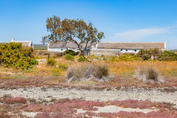 Geelbek, a Historic Dutch  colonial, farmstead on the West Coast © Sunshine Seeds