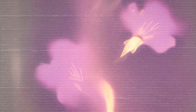 Dreamy Botanical Silhouettes with Soft Gradient Glow and Grainy Paper Texture