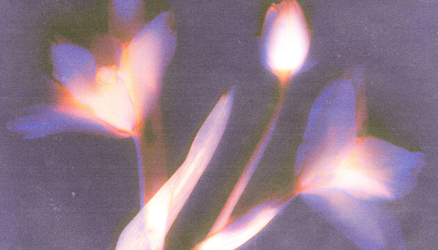 Dreamy Floral Background with Glowing Light, Grainy Paper Texture and Y2K Retro Aesthe