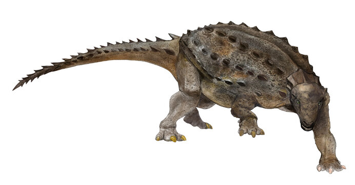 恐竜パノプロサウルスの復元想像図。16〜17世紀のヨーロッパで流行したラフを頸部にまとっているような、ノドサウルスの装甲を持つ。
模式種のP.ミルスは１９１7年に発見されているが、その後のより大きい二つの標本が発見され、大まかなフォルムが想定できた。
パノプロサウルスは完璧に装甲したトカゲの意味で、白亜紀後期の北アメリカに生息が推定される。体長５.５～７mと推定され、頑丈な下肢を持つ。