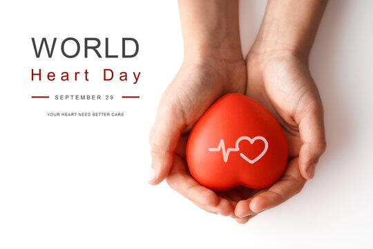 World Heart Day. September 29. Commemorative text on a white background. hands holding a red heart