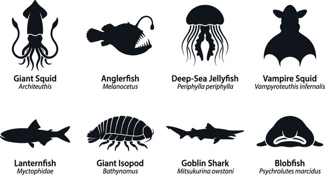 Deep Sea Creatures Vector Silhouette Set Including Giant Squid Anglerfish Jellyfish Vampire Squid Isopod Goblin Shark and Blobfish