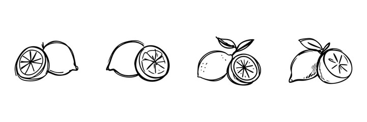 Fototapeta premium Lemon In Hand Drawn Style Set. Citrus Fruit Doodle Sketch Collection. Perfect For Food And Beverage Branding. Isolated Vector Illustration