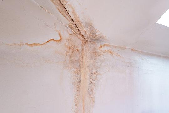 Severe water damage stains and mould growth spreading across room ceiling and wall corner from household roof leak.