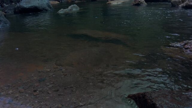 Clear Mountain Stream A tranquil stream flows over a rocky bed, with smooth stones visible beneath the crystal-clear water. The surrounding natural landscape is hinted at.