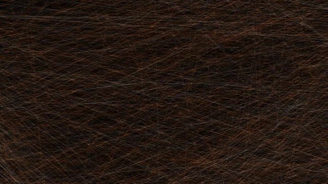 Intricate network of intersecting thin glowing lines creating a complex pattern across a dark space