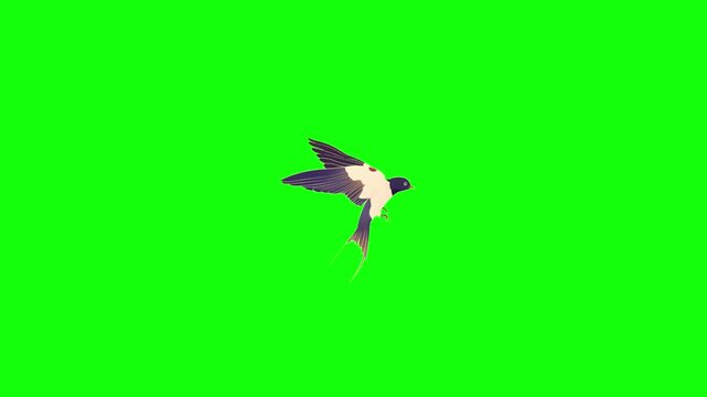 A graceful swallow bird with black head, white underbody, deep blue-purple wings and long forked tail flies smoothly across a solid bright lime green background in clean vector illustration style.