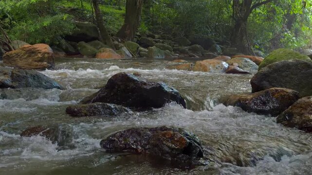 Rushing River Stones Clear water flows over mossy rocks in a verdant forest stream, creating a serene and natural landscape.