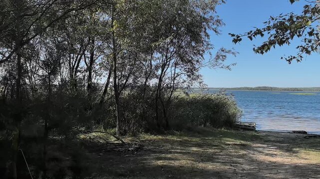 Gentle ripples dance on the lake as vibrant sunlight filters through the leaves. A peaceful spot invites relaxation and reflection amid nature. The beauty of the scenery captivates the spirit.
