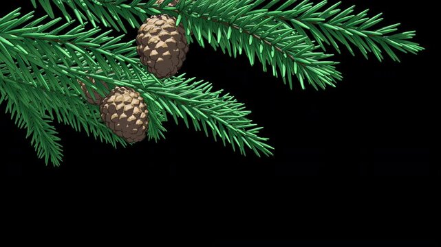 Pine branch with cones