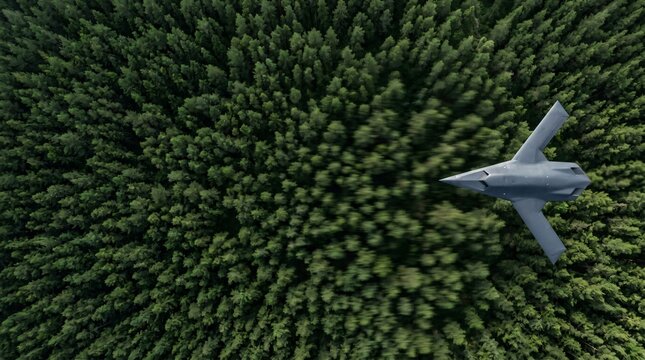 A sleek military combat aircraft performs a low altitude patrol sortie soaring swiftly above the dense canopy of a vast coniferous evergreen woodland forest area during the bright daylight hours