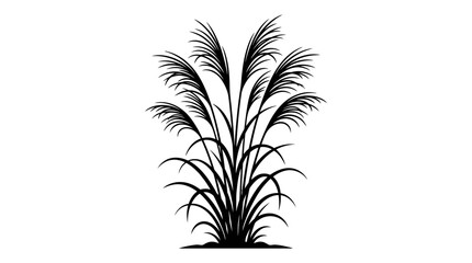 Illustration depicting a black silhouette of a full ornamental grass bush with multiple feathery plumes and long leaves, isolated against a clean white background. © MdAbdul