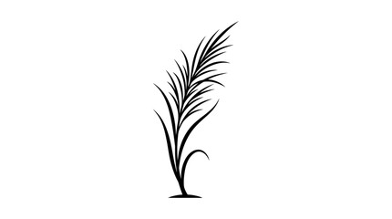 CAD tree lines Black silhouette grass Minimalist pampas grass vector illustration, elegant black ink reed plant silhouette, botanical floral element for wedding stationery and logo design © MdAbdul