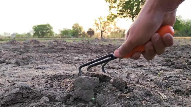 Gardener loosening soil with hand cultivator in garden