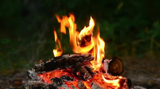 Cinematic dancing campfire flames in dusk forest seamless loop video background with authentic crackling wood fire audio sound and wild birds singing for lofi hip hop, sleep, ASMR. 