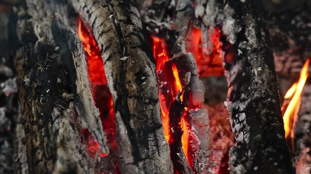 Cozy forest campfire flickering on charred wooden logs at dusk seamless loop video background with authentic crackling fire audio sound and evening nature birds for lofi relaxation.