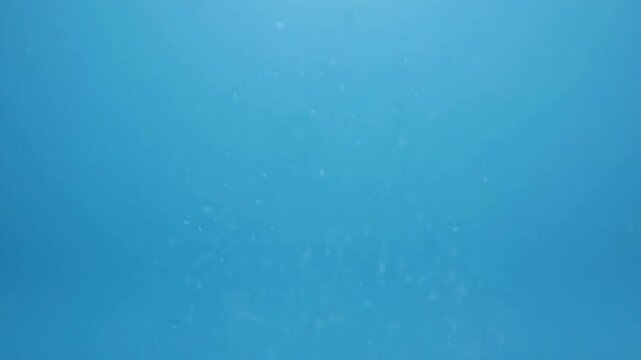 Abstract background with subtle blue gradients and bokeh effects during gentle camera drift