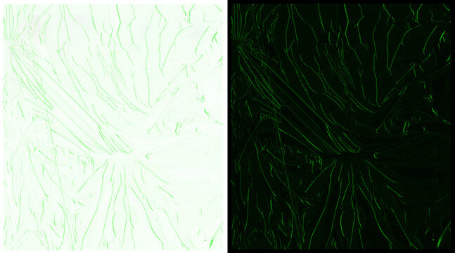Abstract organic line pattern in green and white, natural vein texture background, minimalist botanical fiber structure for modern graphic design