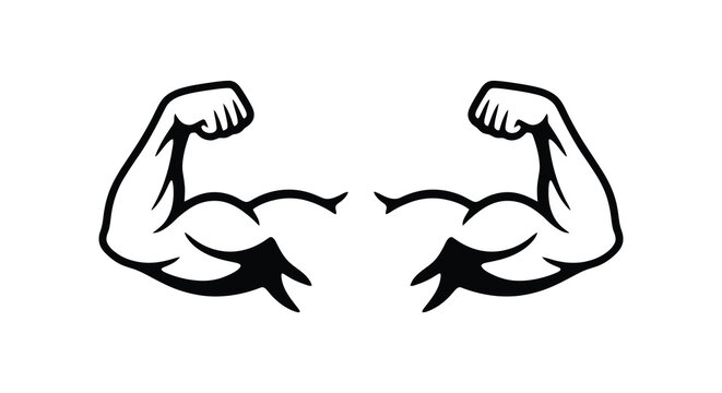 Two flexed biceps arms in a black silhouette against a white background showcasing muscular strength bicep arm muscle muscles flexing