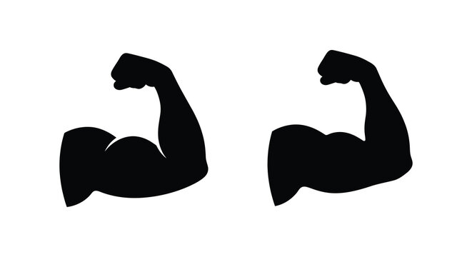 Two bicep muscle silhouettes against a white background showcasing strength and physical fitness silhouette biceps muscles arm arms anatomy exercise