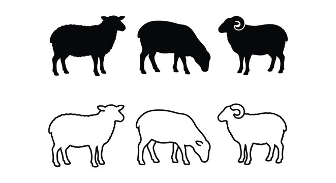 Six sheep depictions in varying poses and styles including black silhouettes on a white background silhouette ovine ram ewe lamb