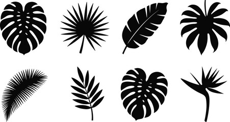 Tropical leaves icon set featuring monstera fan palm banana leaf split philodendron coconut frond and bird of paradise flower black silhouettes © SAHARA