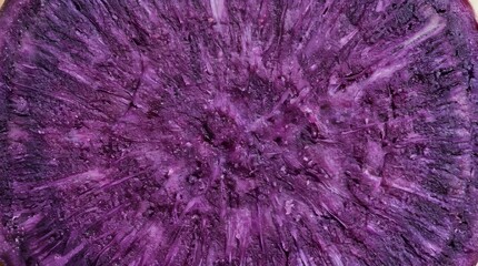 Fototapeta premium Vibrant purple sweet potato cross-section revealing intricate texture and rich color