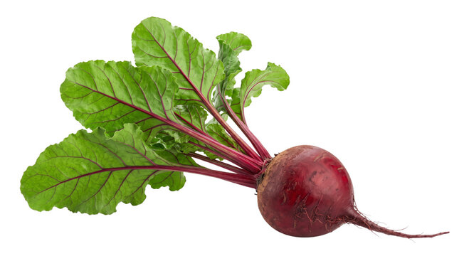 Fresh beetroot with vibrant green leaves and deep red root vegetable