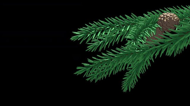 Fir tree branches