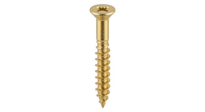 Single brass wood screw with Phillips head and sharp point isolated on white